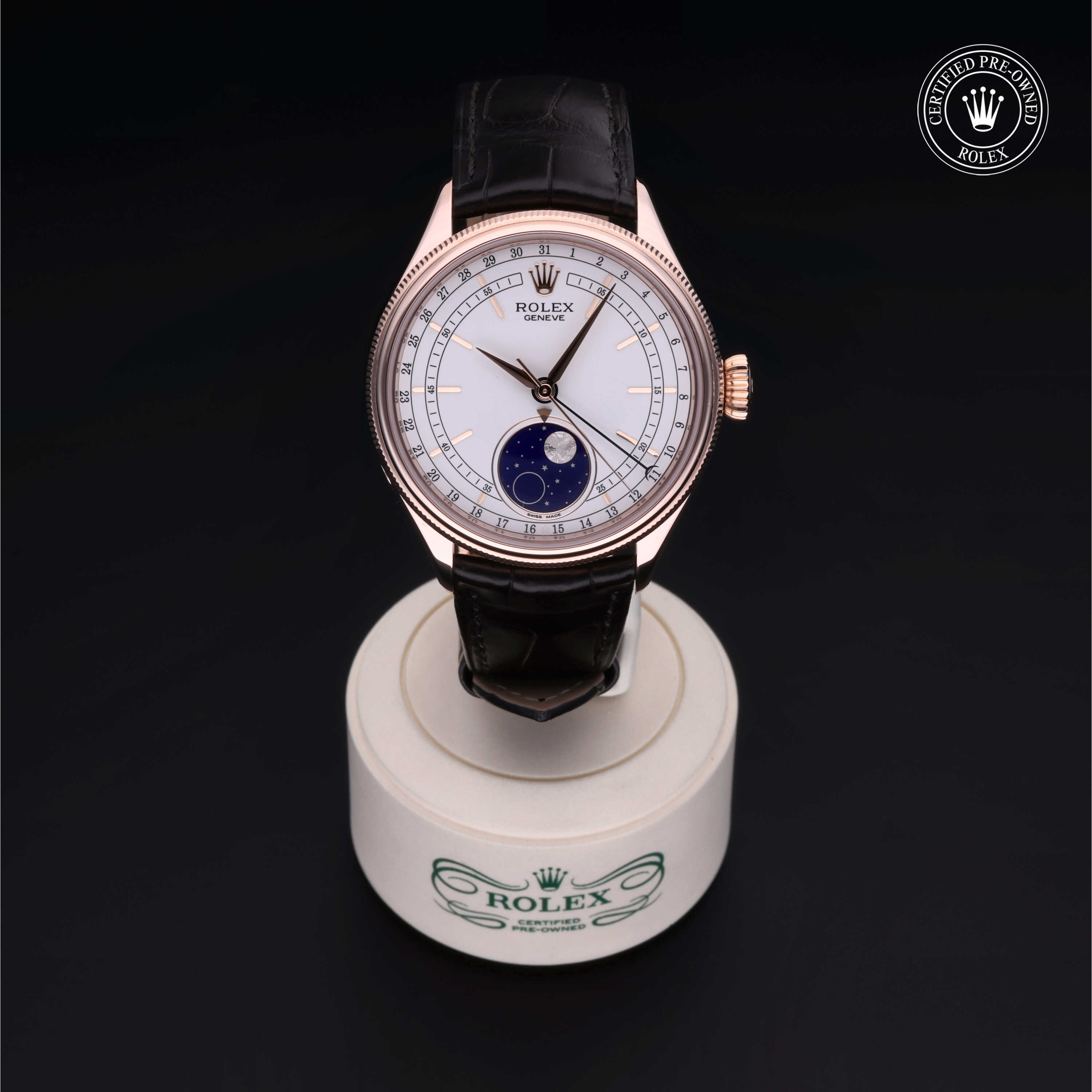 Rolex Cellini in Gold 18 Carat Red M50535-0002 at Wilson & Son Jewelers
