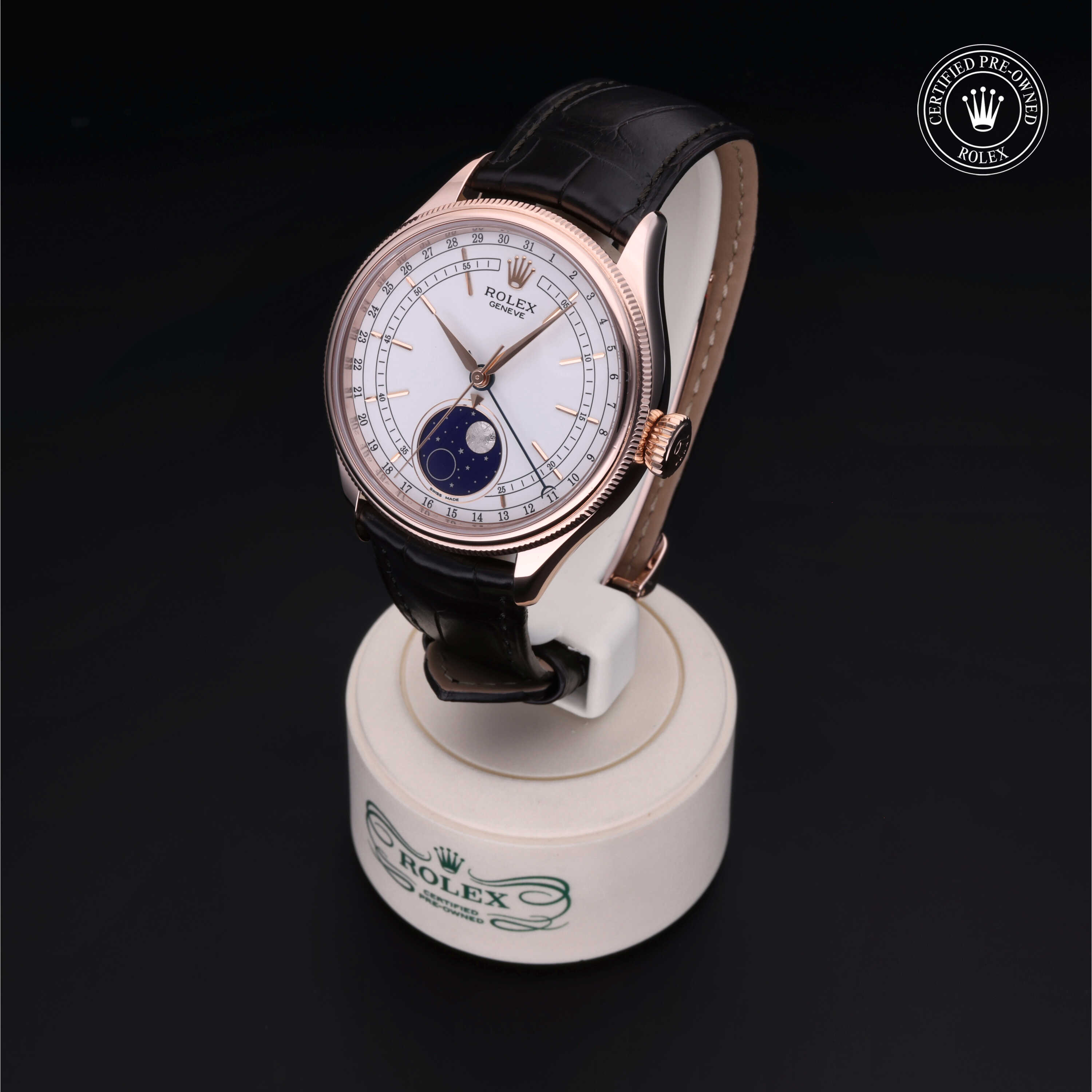Rolex Cellini in Gold 18 Carat Red M50535-0002 at Wilson & Son Jewelers