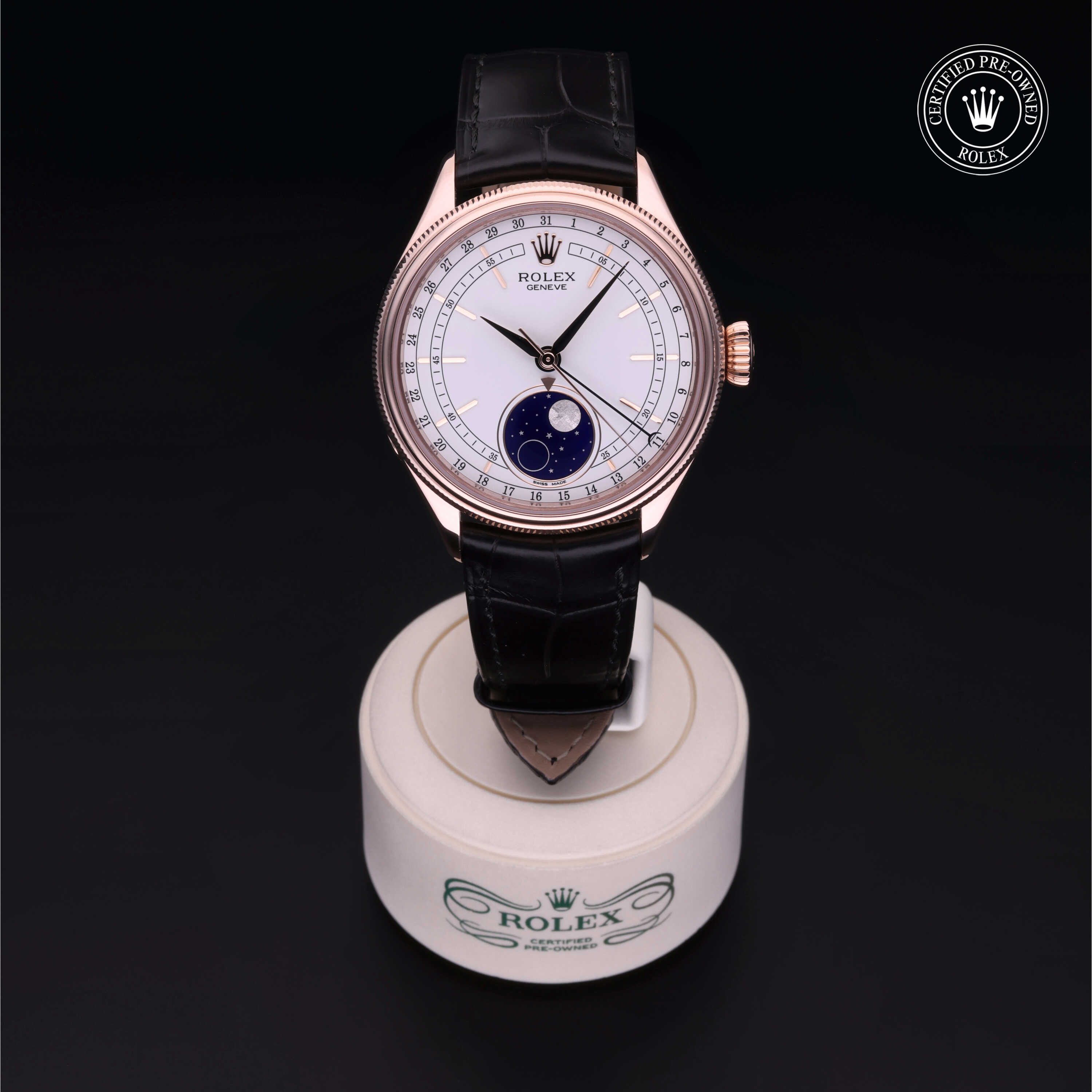 Rolex Cellini in Gold 18 Carat Red M50535-0002 at Wilson & Son Jewelers