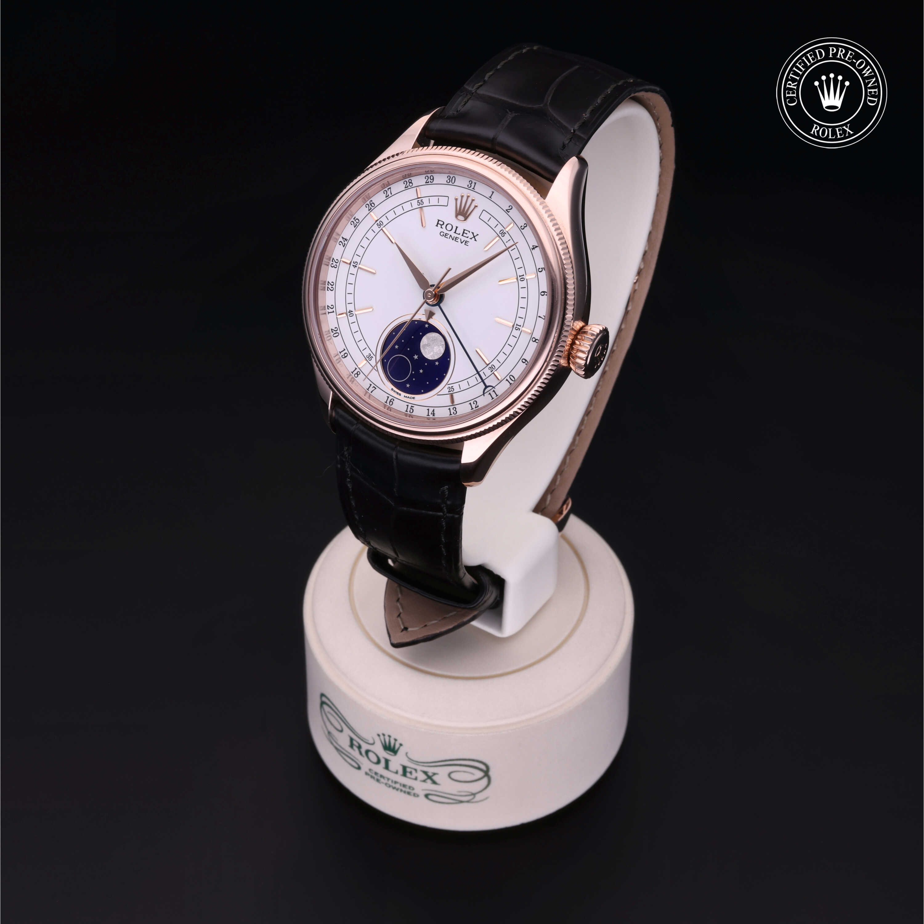 Rolex Cellini in Gold 18 Carat Red M50535-0002 at Wilson & Son Jewelers