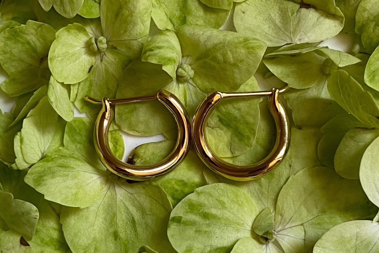 Earrings Earrings